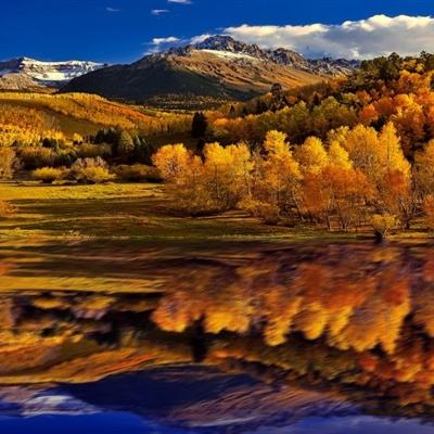 全球十大正规网赌网址